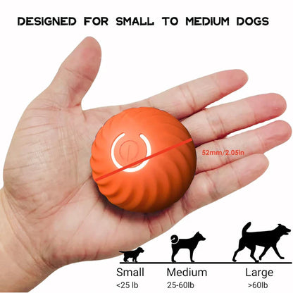 🎁 Limited Time 💨Smart Interactive Pet Ball